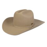 3198125-chapeau-Stetson-unisexe-beige-country-western-USA-la-joya-western-Strasbourg.