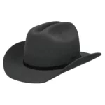 3198133-chapeau-Stetson-unisexe-gris-country-western-USA-la-joya-western-Strasbourg